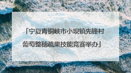 宁夏青铜峡市小坝镇先锋村葡萄整穗疏果技能竞赛举办
